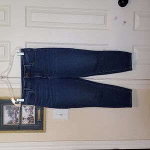 Petite Talbots High-waist Jegging Crop Jeans
